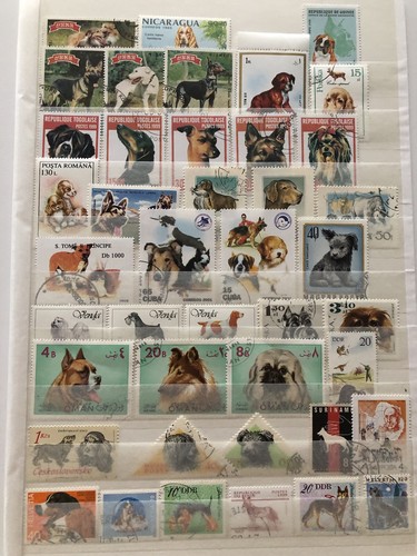 Pagine album cani taglia - album,