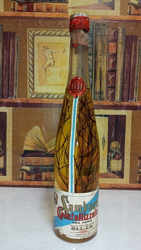 Sambuca cristallizzata - sambuca,