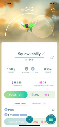 931 squawkabilly piumaggio - squawkabilly,