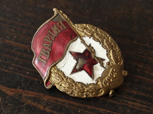 Spilla guardia distintivo - spilla,