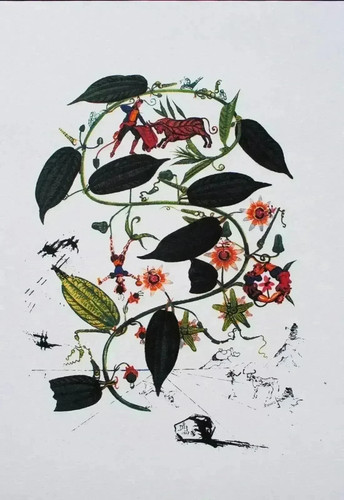 Salvador dali passiflora - salvador,