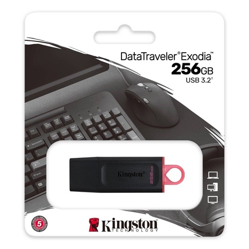 Kingston 256 data traveler - kingston,