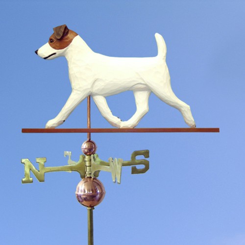 Jack russell terrier - jack,