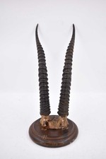 Corna Di Stambecco Da Appendere Decorative