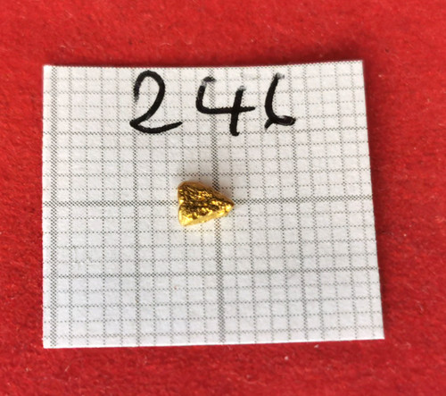 246 pepita oro alaska yukon - #246,