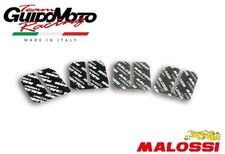 LAMELLE MALOSSI CARTER