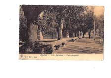Roma: Villa Borghese - Viale
