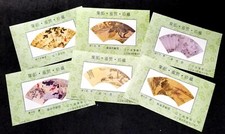 *SPEDIZIONE GRATUITA Cina