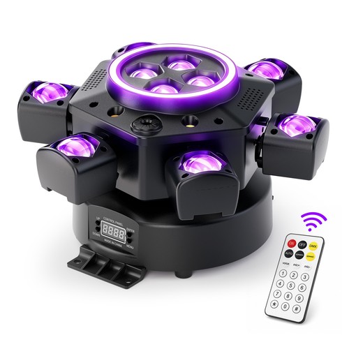 Bracci occhio ape zoom - 6,