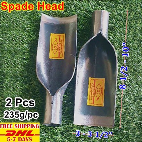 T11 thai vanga - thai,