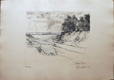 Lino Bianchi Barriviera Il Fiume acquaforte 1976 70x50 firmata numerata XVII/XXV