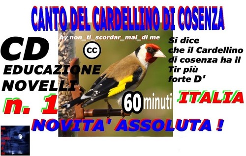 Canto del cardellino - cardellino, di