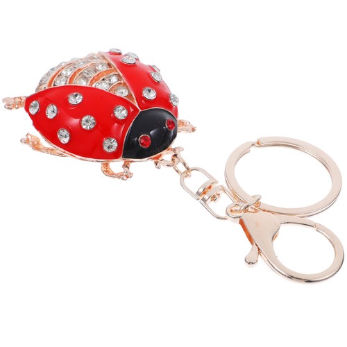 Portachiavi coccinelle - portachiavi,
