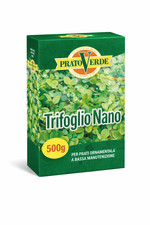Prato Verde TRIFOGLIO NANO
