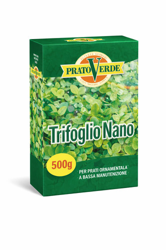 Prato verde trifoglio nano - verde,