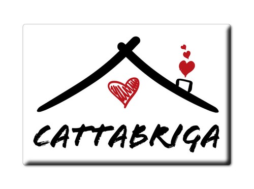 Cattabriga calamita magnete - calamita,