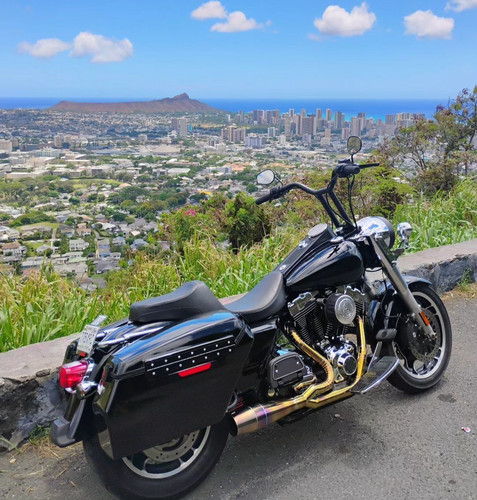 Scarico custom fit harley - custom,