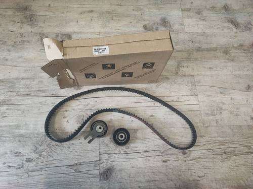 Kit cinghia distribuzione - cinghia,