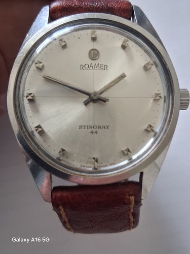 Vintage roamer stingray roto - stingray,