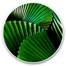 2 adesivi vinile 30 cm -