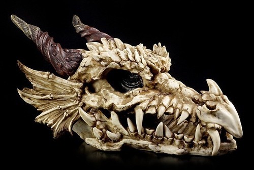 Testa drago gigante - cm,