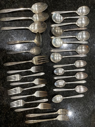 Silver tulip international - silver,