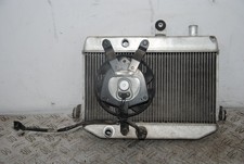 75321 Radiatore +