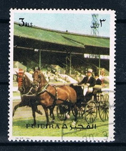 Fujaira carrozza cavalli - fujaira,