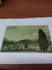 ERBA - INCINO NEL GIARDINO PUBBLICO CARTOLINA FORMATO PICCOLO 