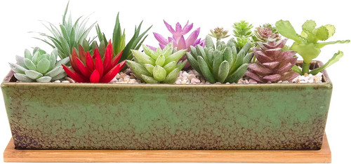 Vaso per fioriere succulente - per,