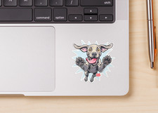 Pacchetto adesivi divertenti