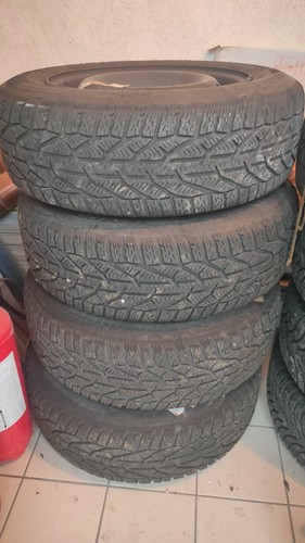 Gomme invernali 195 - 4,