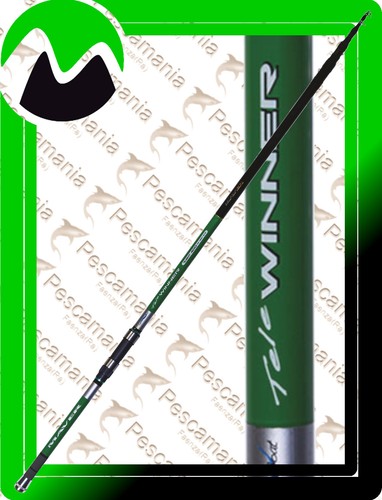 Canna maver winner - canna,