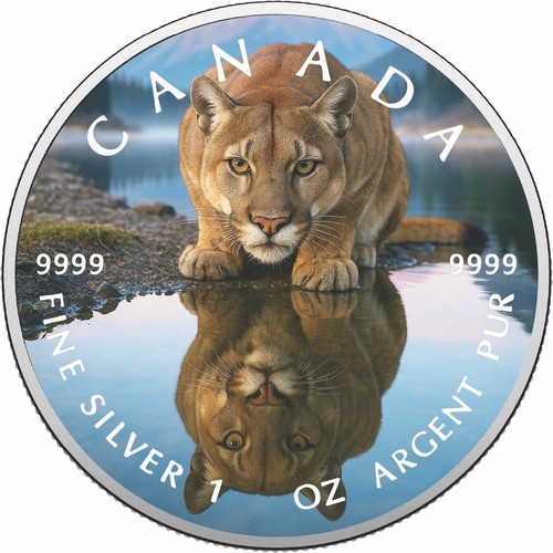 2026 canada 9999 argento - 1, oz