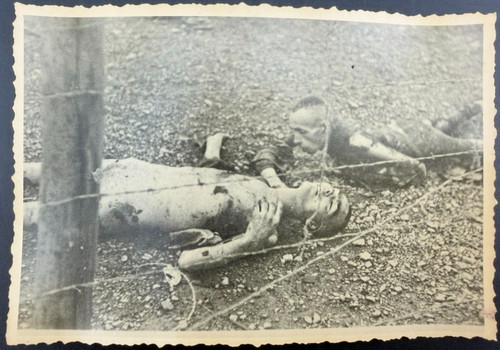 Foto scavi archeologici - foto,