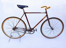 Bicicletta uomo Olmo con freno contropedale