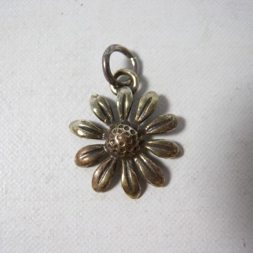 Ciondolo charm pendente - charm, per