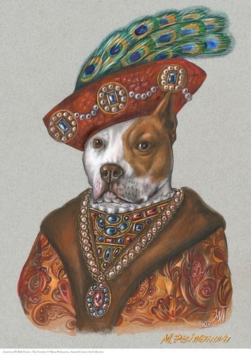 American pit bull terrier - bull, a3