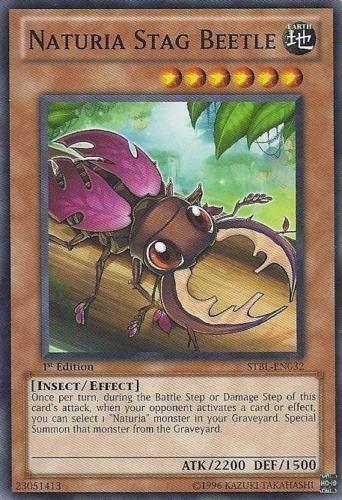 Mazzo yugioh naturia completo - mazzo,
