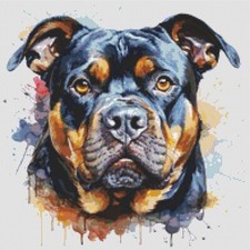 American Bully Puppy Dog opera