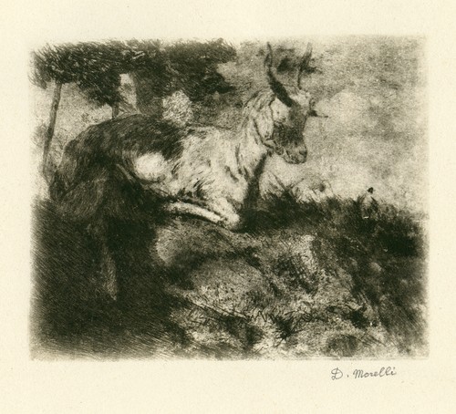 Domenico morelli magnifica - domenico,