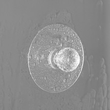  4 Pcs Pensili Cucina Maniglie