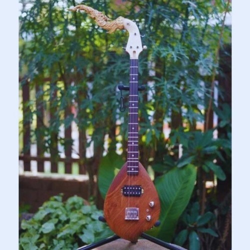 Arpa elettrica legno musicale - arpa,