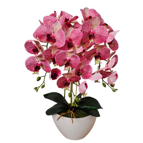 Orchidea artificiale pianta