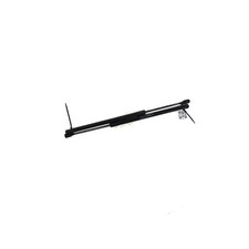 Coppia Pistoni Portellone