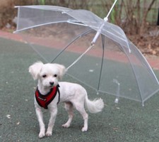 OMBRELLO GUINZAGLIO CANE