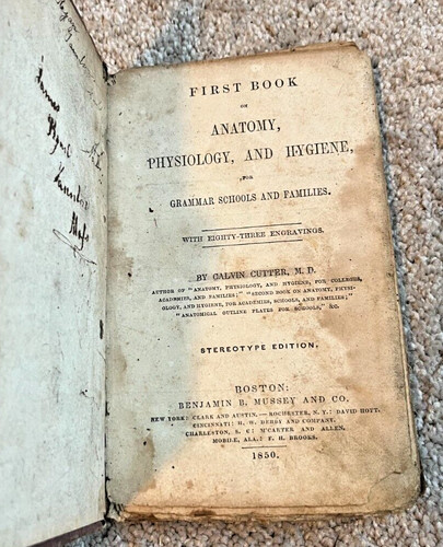 1850 antique anatomy - antique,