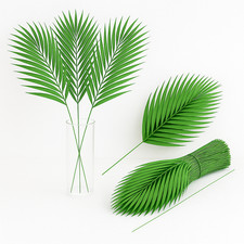 59 PZ Foglie di Palma