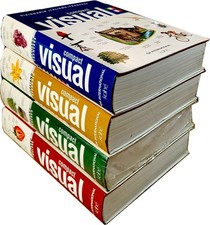 VISUAL COMPACT DIZIONARIO