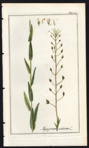 1800 johannes zorn - 1800, icones